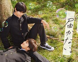 完美伴侣剧剧哟海报剧照