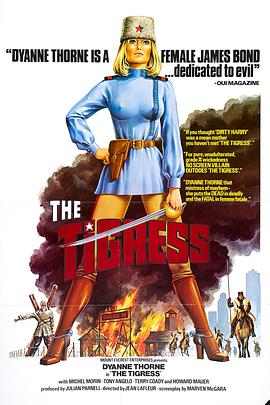 同房另类视频海报剧照